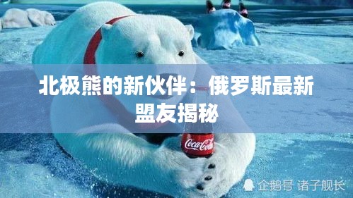 北极熊的新伙伴：俄罗斯最新盟友揭秘