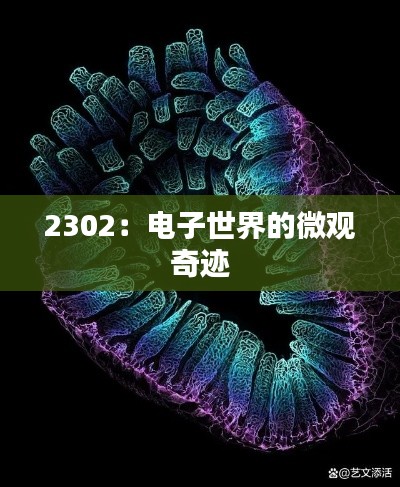 第2739页