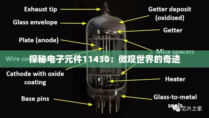 富贵凝香 第5页
