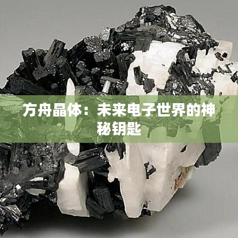 联系方式 第384页