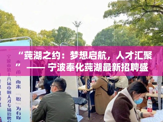 联系方式 第379页