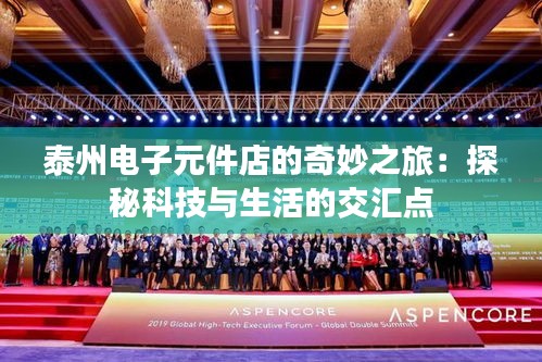 泰州电子元件店的奇妙之旅：探秘科技与生活的交汇点