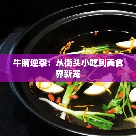 牛腩逆袭：从街头小吃到美食界新宠