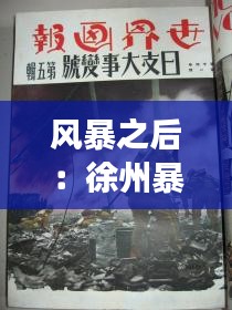风暴之后：徐州暴力事件的深度解析与反思