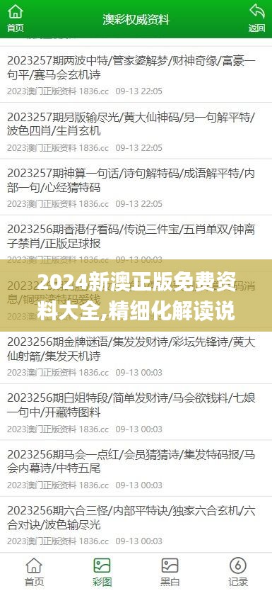 2024新澳正版免费资料大全,精细化解读说明_户外版110.456