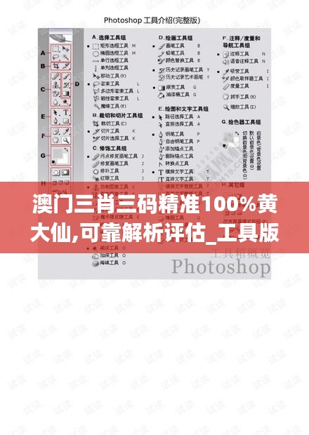 澳门三肖三码精准100%黄大仙,可靠解析评估_工具版10.757
