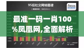 最准一码一肖100%凤凰网,全面解析数据执行_C版8.362