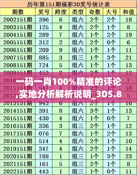 一码一肖100%精准的评论,实地分析解析说明_3D5.881