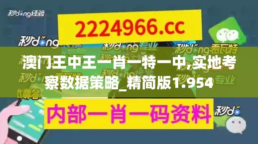 澳门王中王一肖一特一中,实地考察数据策略_精简版1.954
