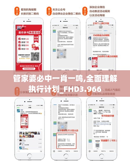 管家婆必中一肖一鸣,全面理解执行计划_FHD3.966