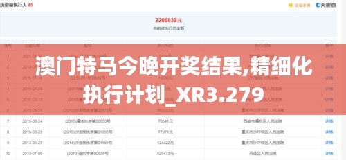 澳门特马今晚开奖结果,精细化执行计划_XR3.279
