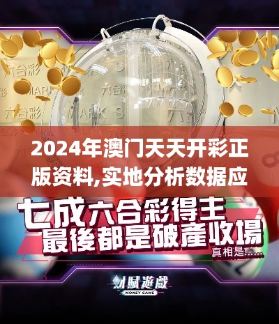 2024年澳门天天开彩正版资料,实地分析数据应用_MR5.168