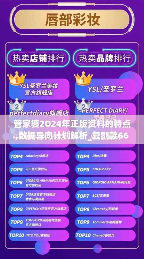 管家婆2O24年正版资料的特点,数据导向计划解析_复刻款66.838-6