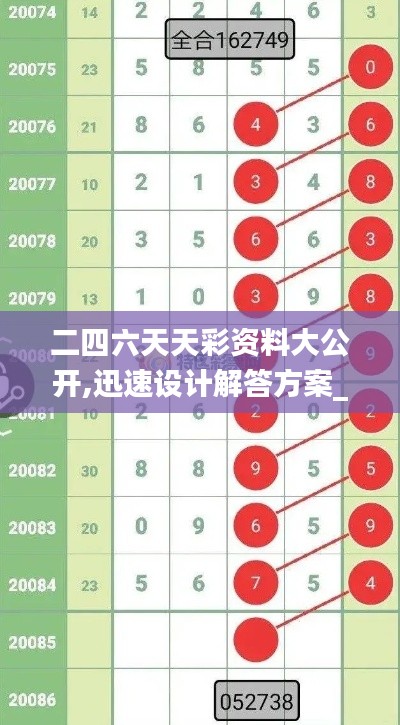 二四六天天彩资料大公开,迅速设计解答方案_黄金版144.457-5