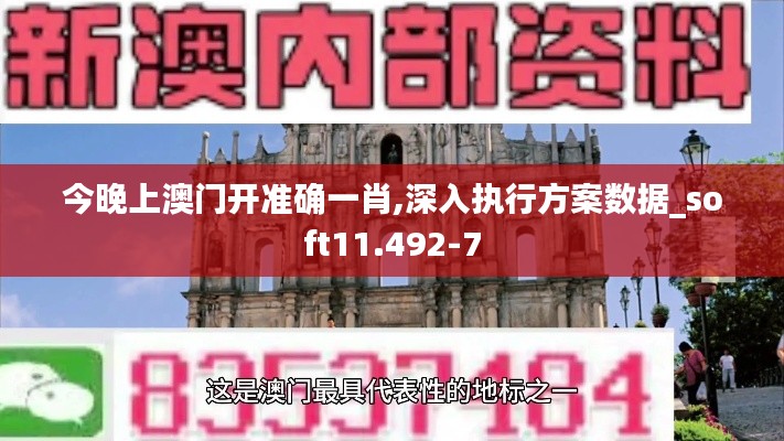 今晚上澳门开准确一肖,深入执行方案数据_soft11.492-7