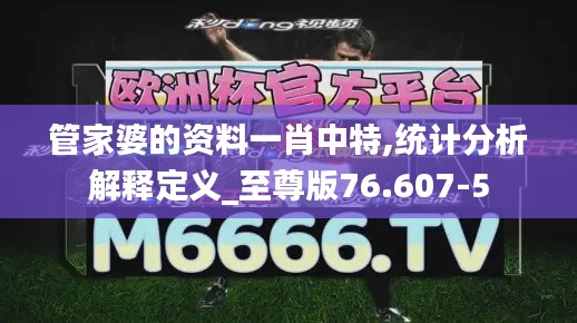 管家婆的资料一肖中特,统计分析解释定义_至尊版76.607-5