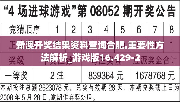 新澳开奖结果资料查询合肥,重要性方法解析_游戏版16.429-2