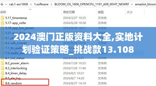 2024澳门正版资料大全,实地计划验证策略_挑战款13.108
