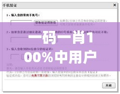 一码一肖100%中用户评价,实地验证设计方案_set84.194-9