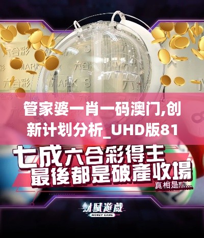 管家婆一肖一码澳门,创新计划分析_UHD版81.610-2