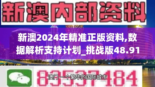 新澳2024年精准正版资料,数据解析支持计划_挑战版48.917-3