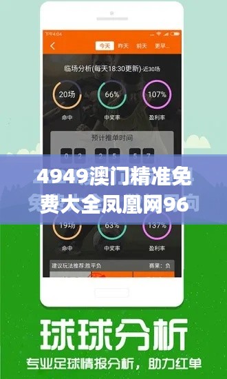 4949澳门精准免费大全凤凰网9626,迅捷解答方案实施_6DM159.761-7