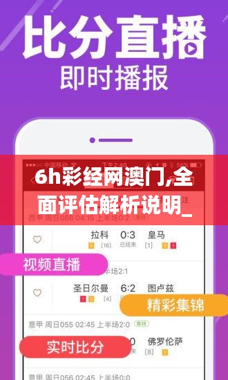 6h彩经网澳门,全面评估解析说明_安卓84.187-1