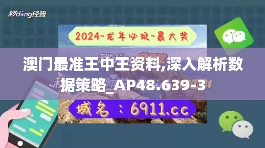 澳门最准王中王资料,深入解析数据策略_AP48.639-3