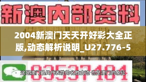 2004新澳门天天开好彩大全正版,动态解析说明_U27.776-5