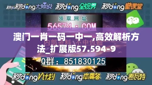 澳门一肖一码一中一,高效解析方法_扩展版57.594-9