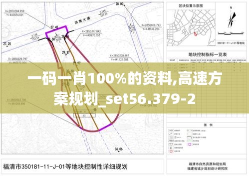 一码一肖100%的资料,高速方案规划_set56.379-2