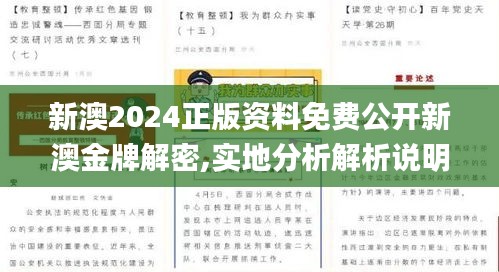 新澳2024正版资料免费公开新澳金牌解密,实地分析解析说明_Premium96.601-7