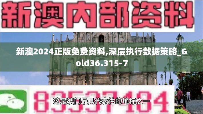 新澳2024正版免费资料,深层执行数据策略_Gold36.315-7