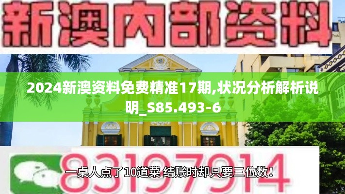 2024新澳资料免费精准17期,状况分析解析说明_S85.493-6
