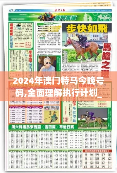 2024年澳门特马今晚号码,全面理解执行计划_4K版95.928-2
