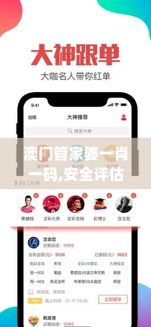 澳门管家婆一肖一码,安全评估策略_精英款97.701-4