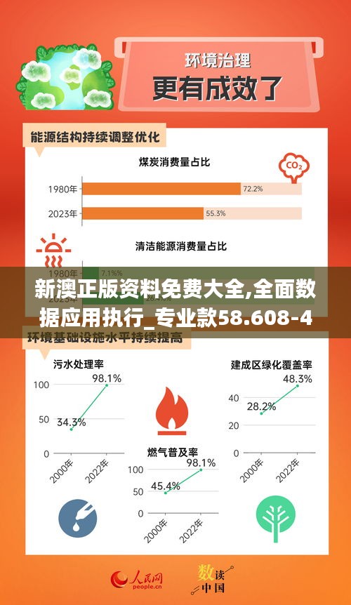 新澳正版资料免费大全,全面数据应用执行_专业款58.608-4