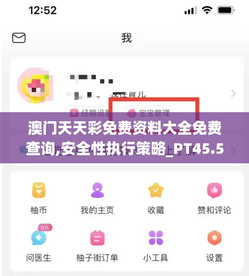 澳门天天彩免费资料大全免费查询,安全性执行策略_PT45.503-8