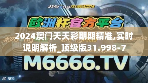 2024澳门天天彩期期精准,实时说明解析_顶级版31.998-7