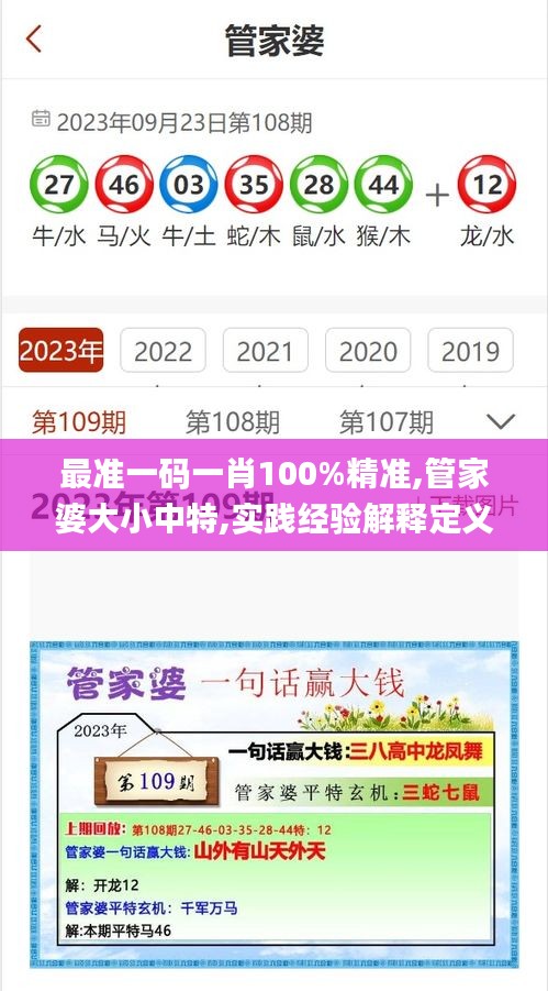 最准一码一肖100%精准,管家婆大小中特,实践经验解释定义_超值版112.656-9