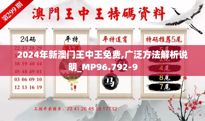 2024年新澳门王中王免费,广泛方法解析说明_MP96.792-9