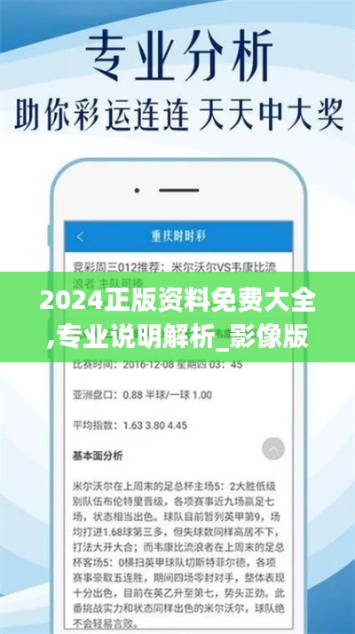 2024正版资料免费大全,专业说明解析_影像版64.391-6