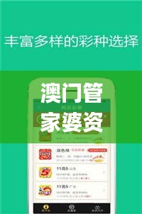 澳门管家婆资料一码一特一,现状分析解释定义_优选版21.404-4