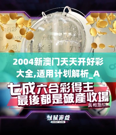 2004新澳门天天开好彩大全,适用计划解析_AP19.976-8