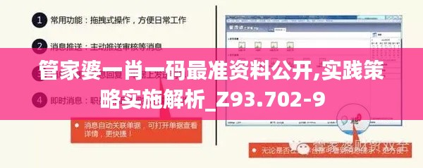 管家婆一肖一码最准资料公开,实践策略实施解析_Z93.702-9