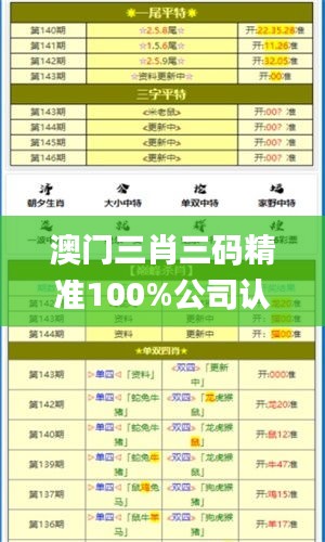 澳门三肖三码精准100%公司认证,适用计划解析_标配版18.853-8