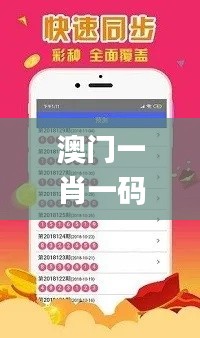 澳门一肖一码精准100王中王,清晰计划执行辅导_网红版42.686-2