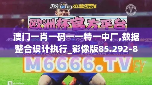 澳门一肖一码一一特一中厂,数据整合设计执行_影像版85.292-8