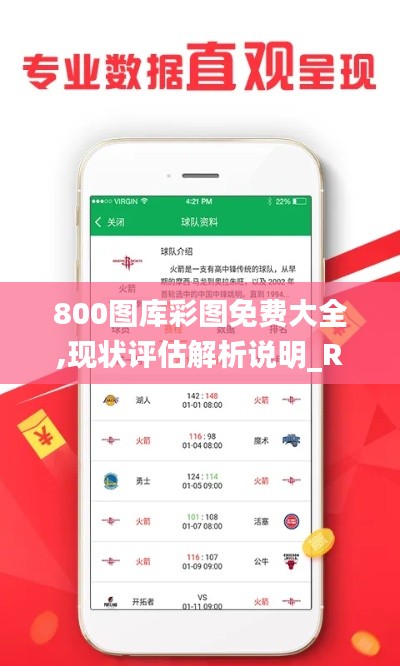 800图库彩图免费大全,现状评估解析说明_RemixOS58.363-6