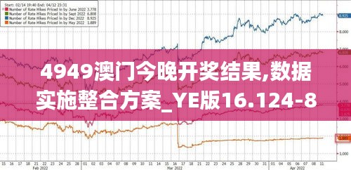 4949澳门今晚开奖结果,数据实施整合方案_YE版16.124-8